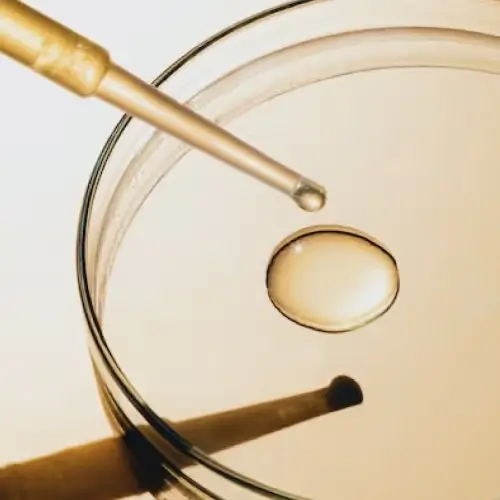 Vitamin E (Vulva Cream)