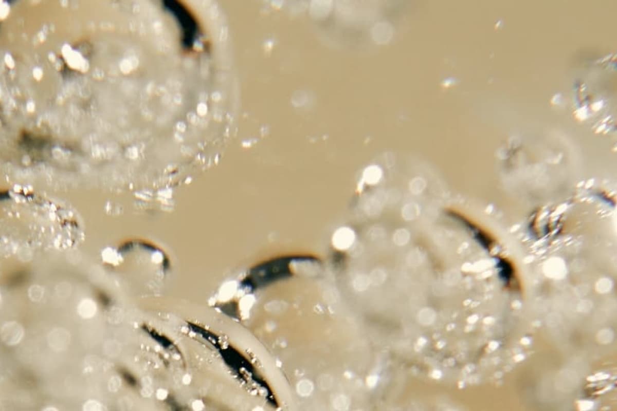 Lube Ingredients to Avoid for Vaginal Health