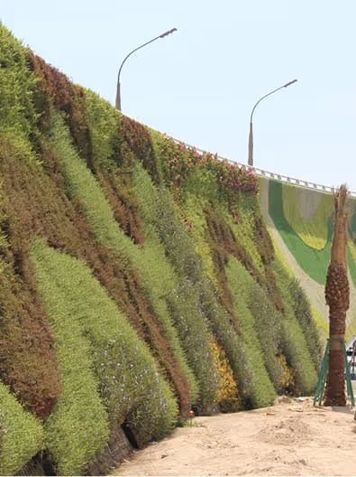Living green wall with varied plants along Khalifa avenue, Qatar