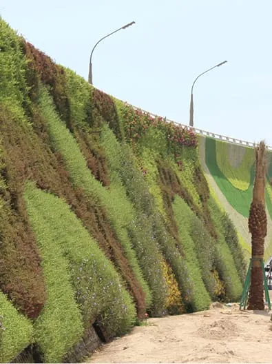 Living green wall with varied plants along Khalifa avenue, Qatar