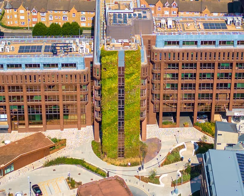 Living green wall between buildings in Dukes Court