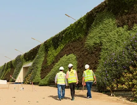 Workers inspect living green wall in Khalifa avenue, Qatar