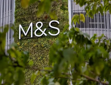 Living wall with M&S logo framed by green leaves