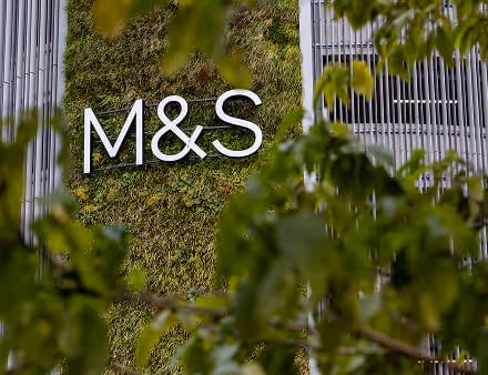 Living wall with M&S logo framed by green leaves