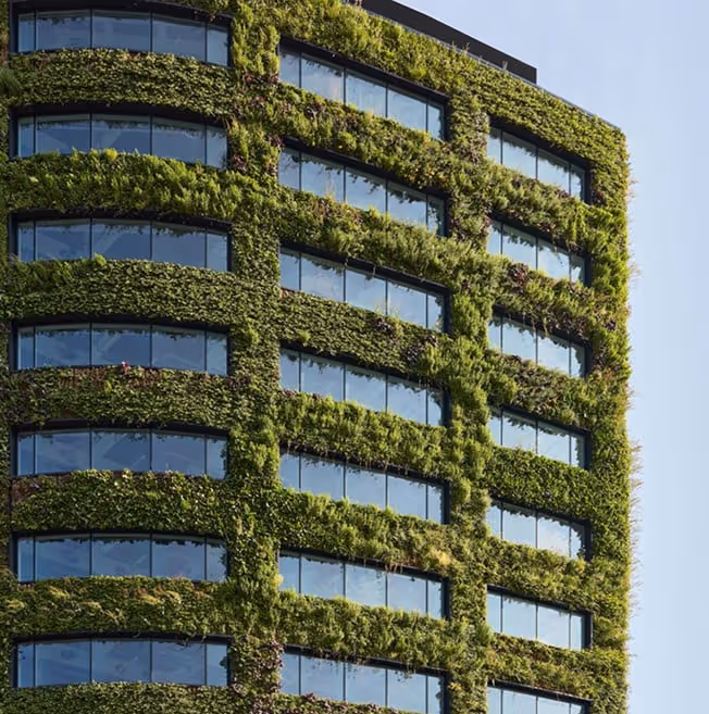 Living wall covers exterior of Eden at new baileywith lush green vegetation