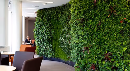 Lush living wall with green plants decorating modern office interior
