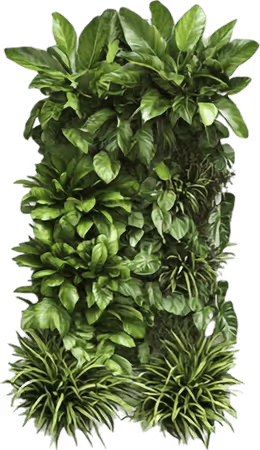 Living wall with lush green plants and varied leaf textures