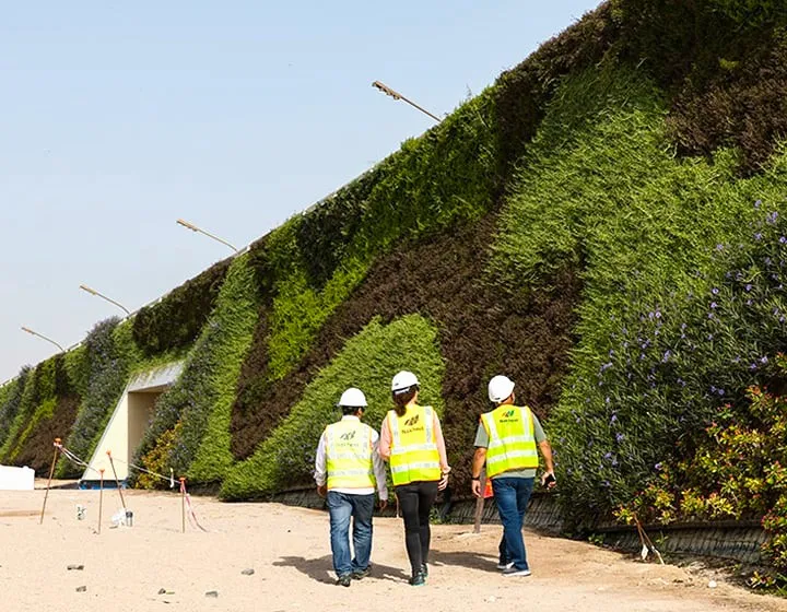 Workers inspect a living green wall  in Khalifa avenue