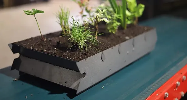 Living wall of seedlings growing in Viritopia living wall module