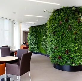 Living wall of lush green plants decorates modern, minimalist interior space