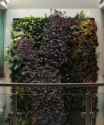 Lush living wall with diverse green and purple plants indoors