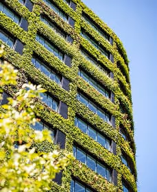 Living wall of green plants covering Eden building facade