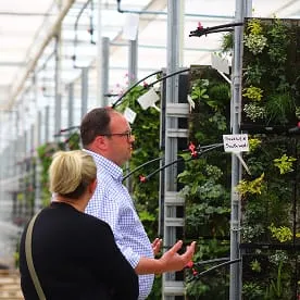 Living wall with plants and people in Viritopia nursery examining vertical garden