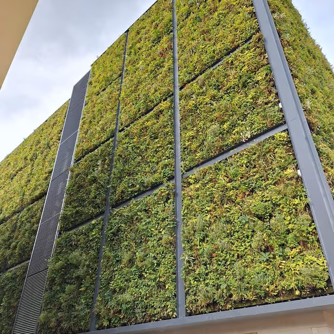 Living wall of green plants covering architectural structure with metal frames