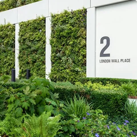 Living wall with lush green plants at 2 London Wall Place
