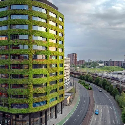 Living wall covers Eden New Bailey beside urban highway and cityscape