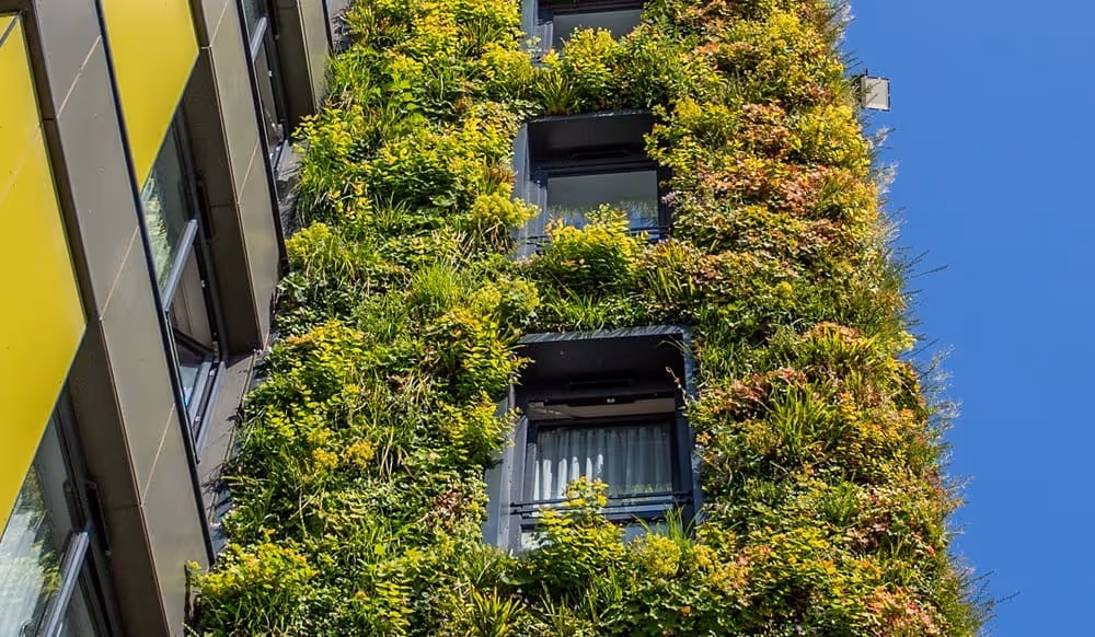 Lush living wall with green plants covering modern building facade