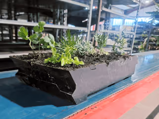 Viritopia modular living wall system fully planted module placed on a work bench.