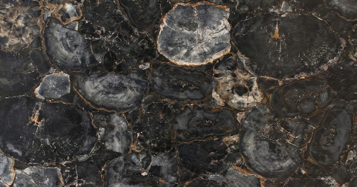 Grey Petrified Wood