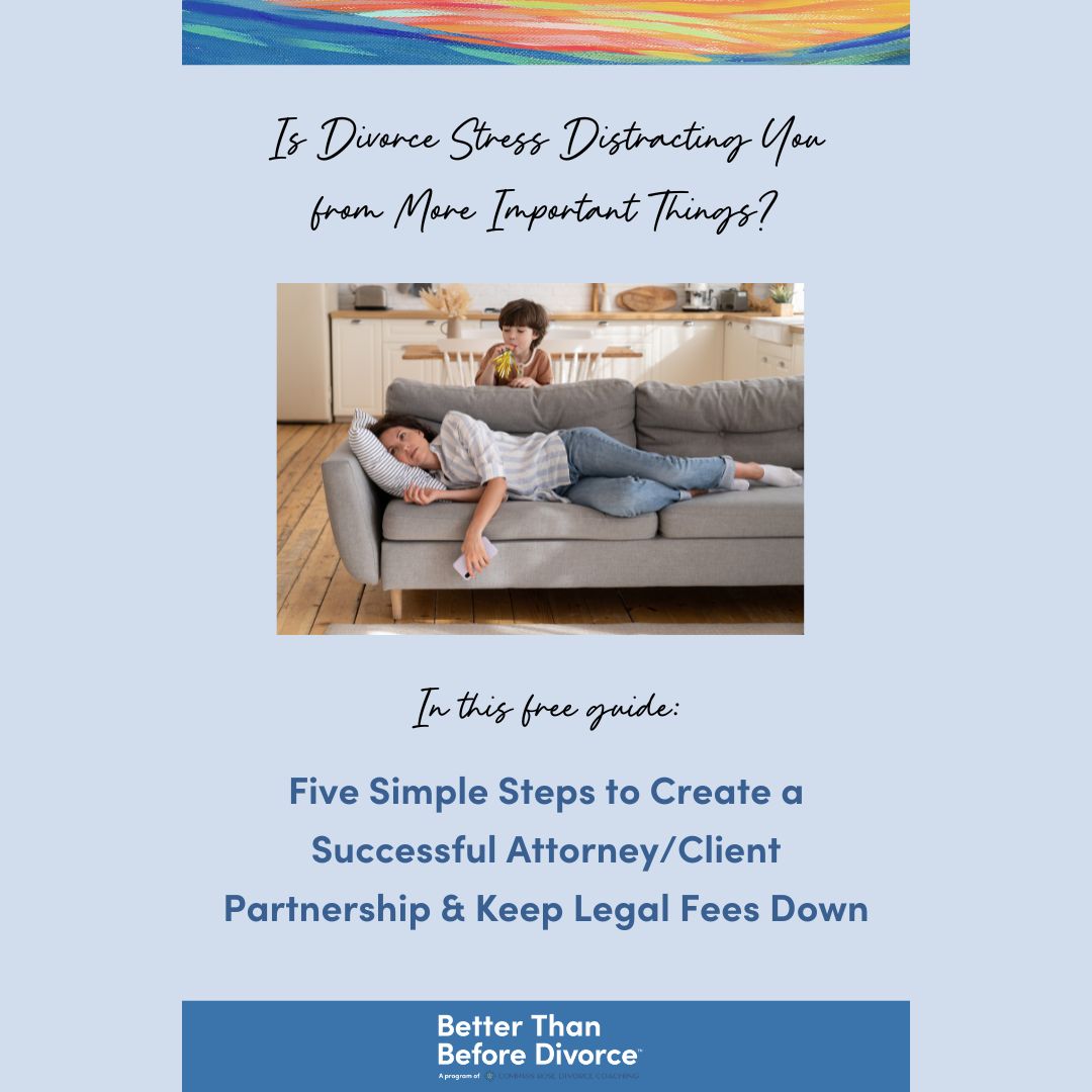 Five Ways to Keep Legal Fees Down &amp; Make the Relationship with Your Lawyer Productive and Efficient