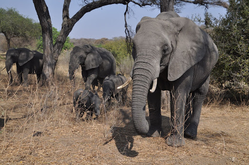 Two Weeks in Africa: Lessons (and Images!) I’ll Never Forget