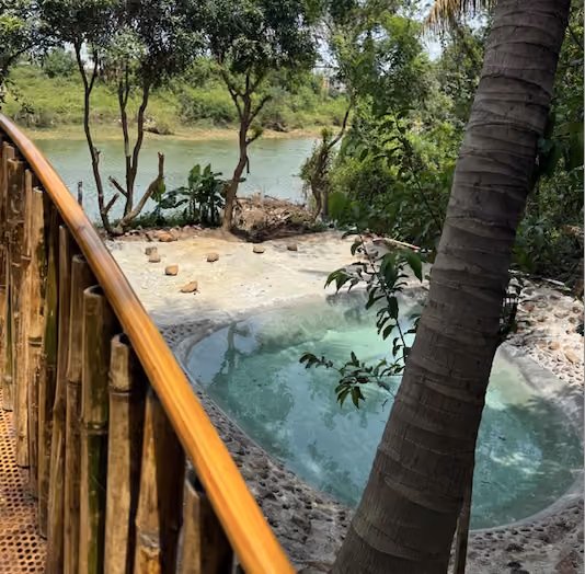 Fish Pond 