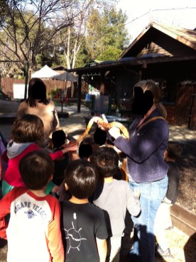 touching a real snake