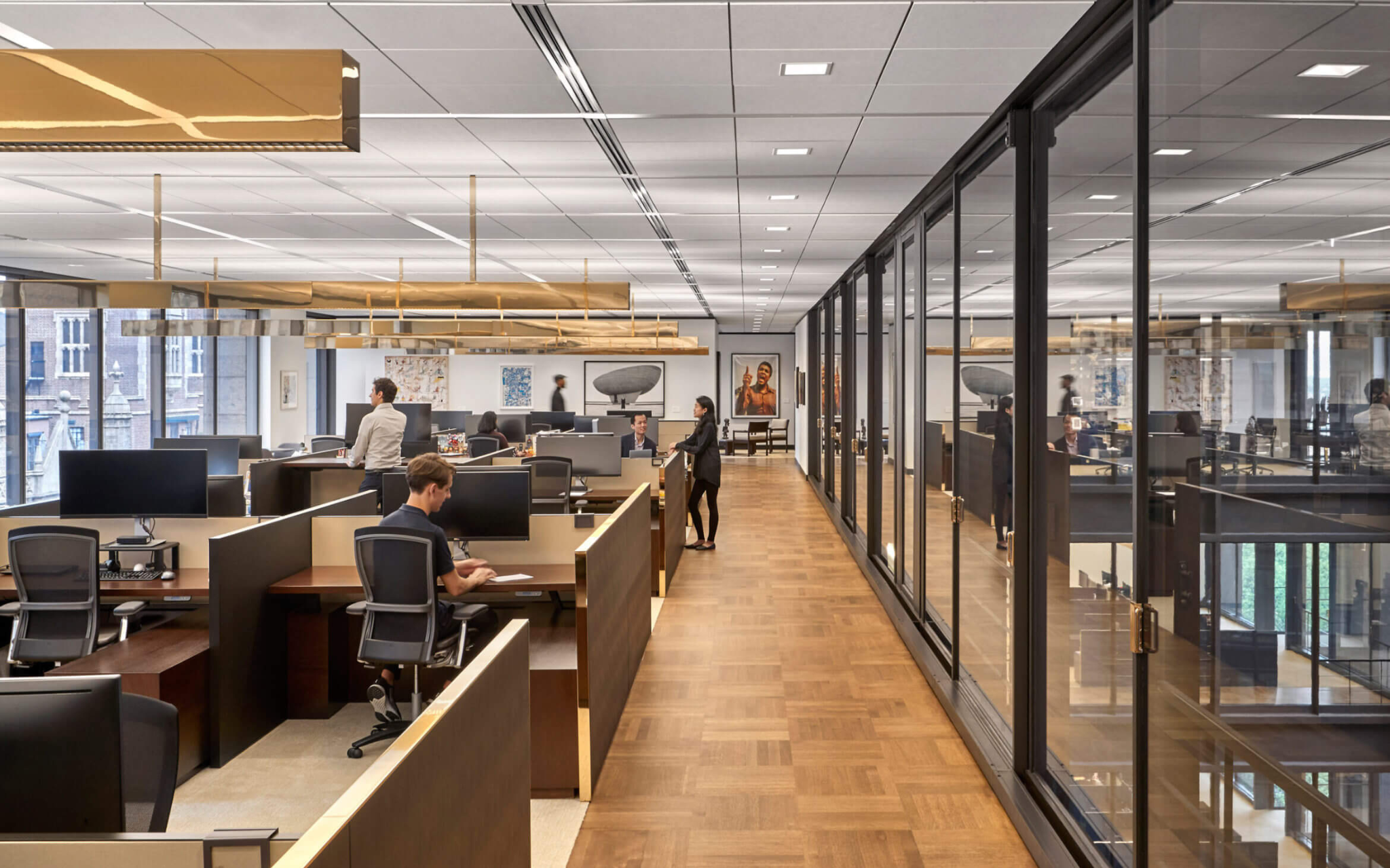 Australian workplace acoustic design with ceiling treatment, workstations and glazed meeting rooms.