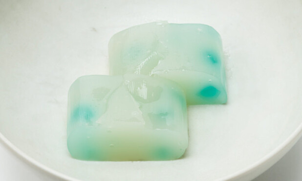 亀屋良永 葛羊羹 白瀧