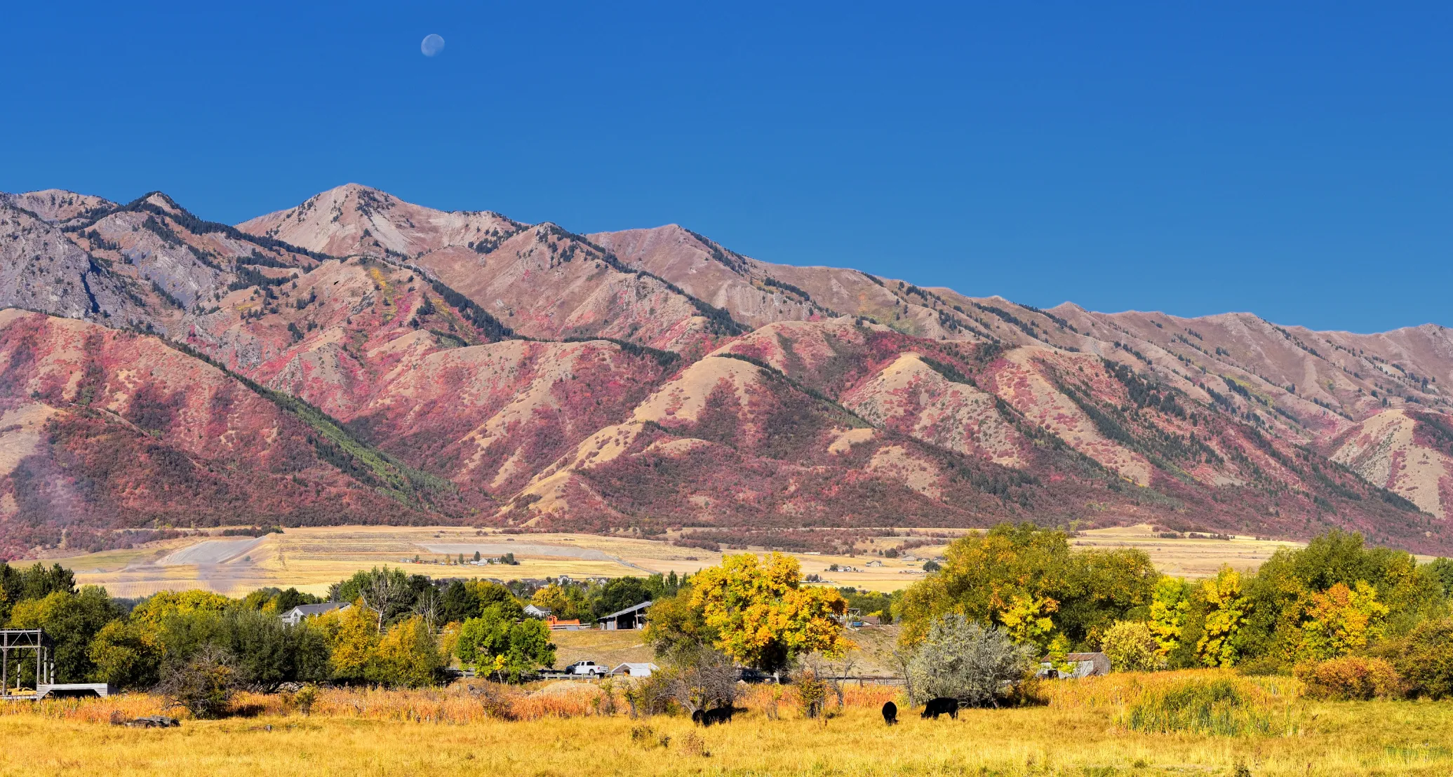 Landscape image of Logan Valley and the Wellsville Mountains