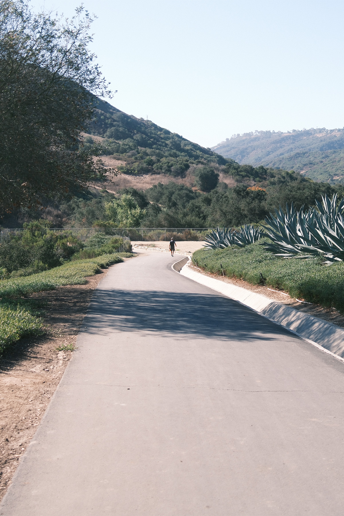 Where the Path Opens Up