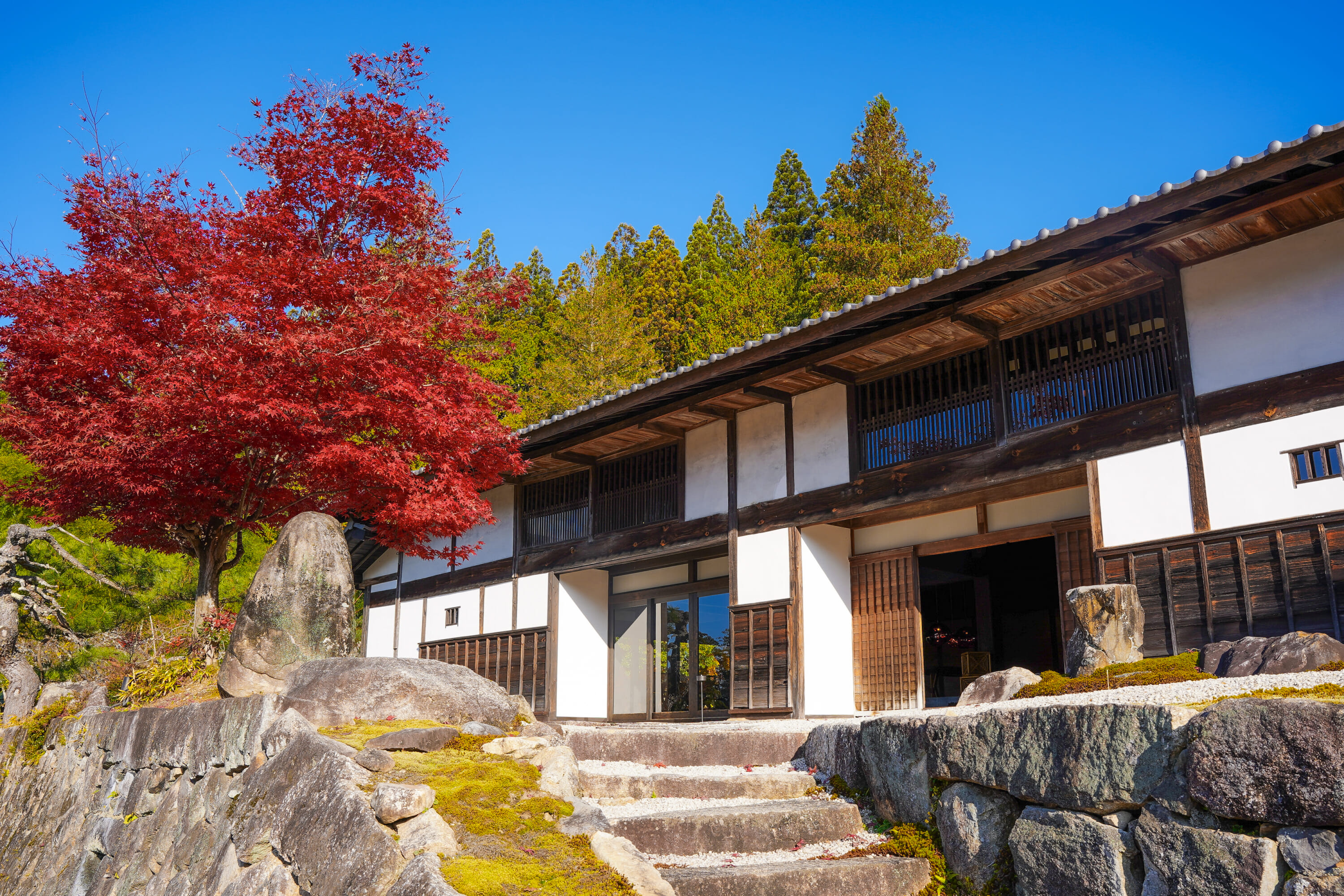 Hidden Japan Tours Unlock Secret Stories and Rare Adventures