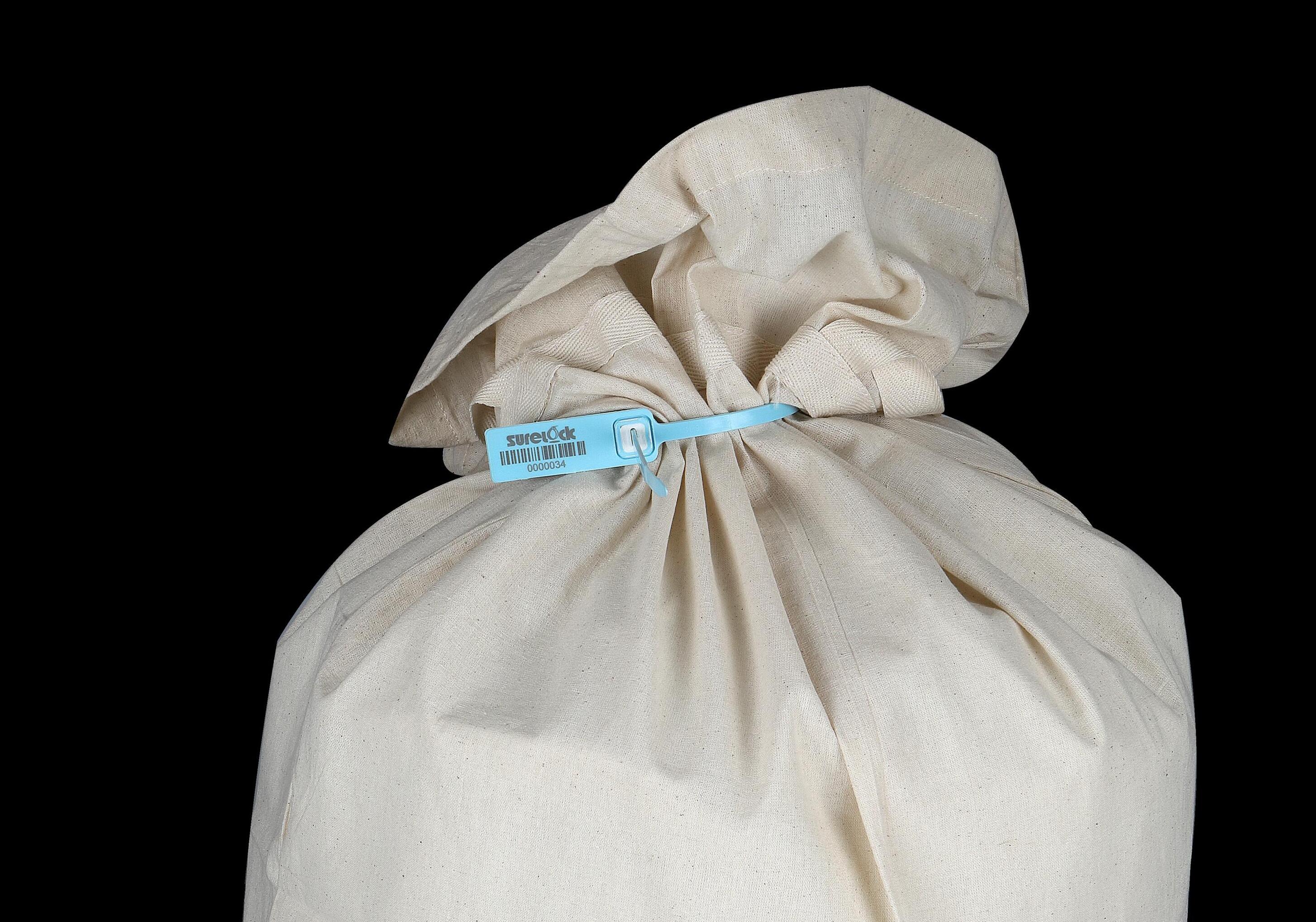 Metal Lock Security Seal Medium Tag Technical Drawing