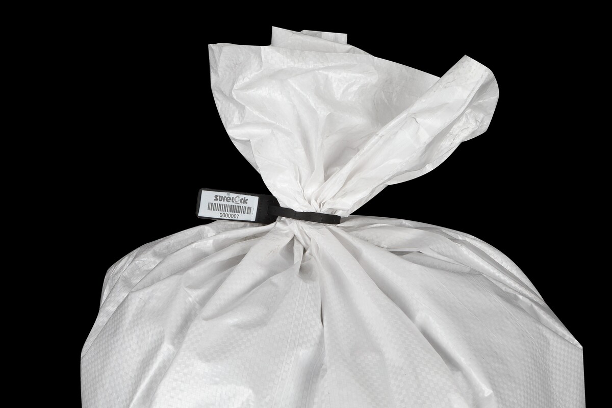 6 Point Lock Metal Lock Seal Medium Tag Technical Drawing