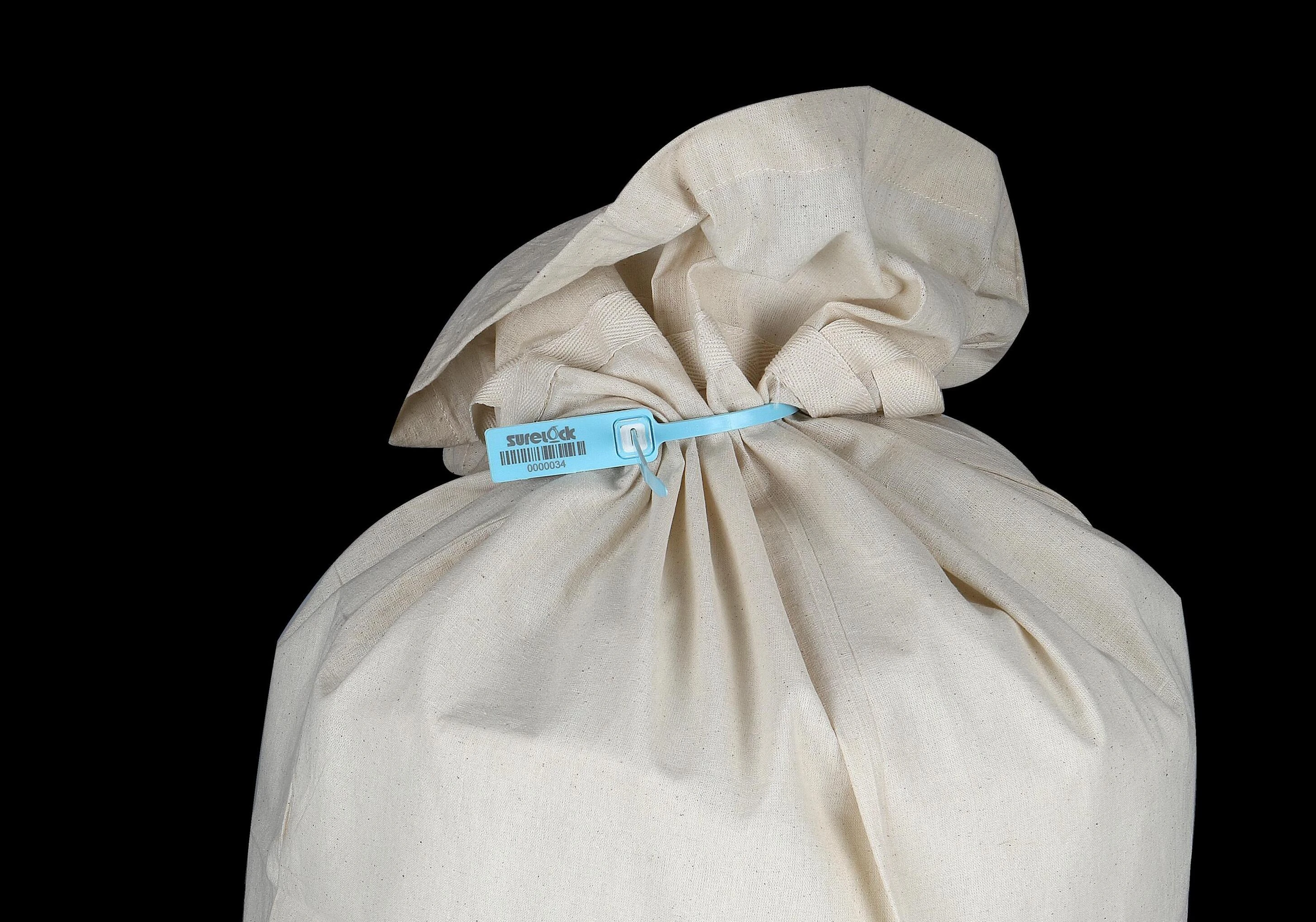 Metal Lock Security Seal Medium Tag Technical Drawing