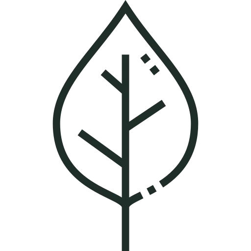 Ikona jednoduchého listu so stredovou žilou a tromi vedľajšími žilami.