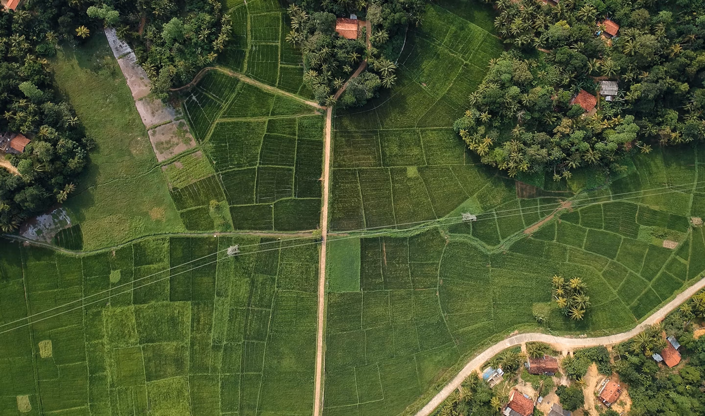 Aerial view of green agricultural fields with pathways, small clusters of trees, and scattered houses.