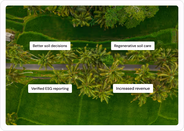 Aerial view of green rice fields and palm trees divided by a narrow road, with labels highlighting benefits: Better soil decisions, Regenerative soil care, Verified ESG reporting, and Increased revenue.