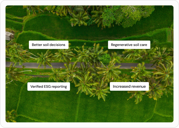 Aerial view of green rice fields and palm trees divided by a narrow road, with labels highlighting benefits: Better soil decisions, Regenerative soil care, Verified ESG reporting, and Increased revenue.