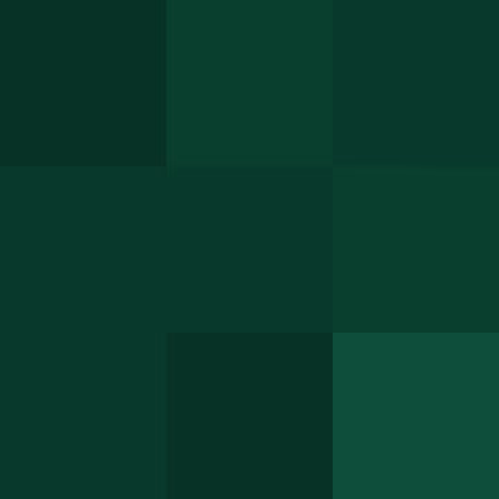 Dark green square with four slightly darker green rectangles arranged in a compass pattern.