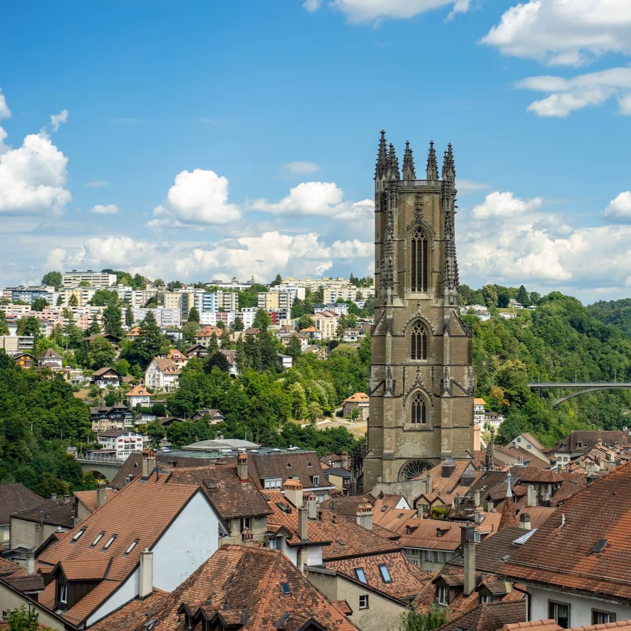 Création de site internet à Fribourg