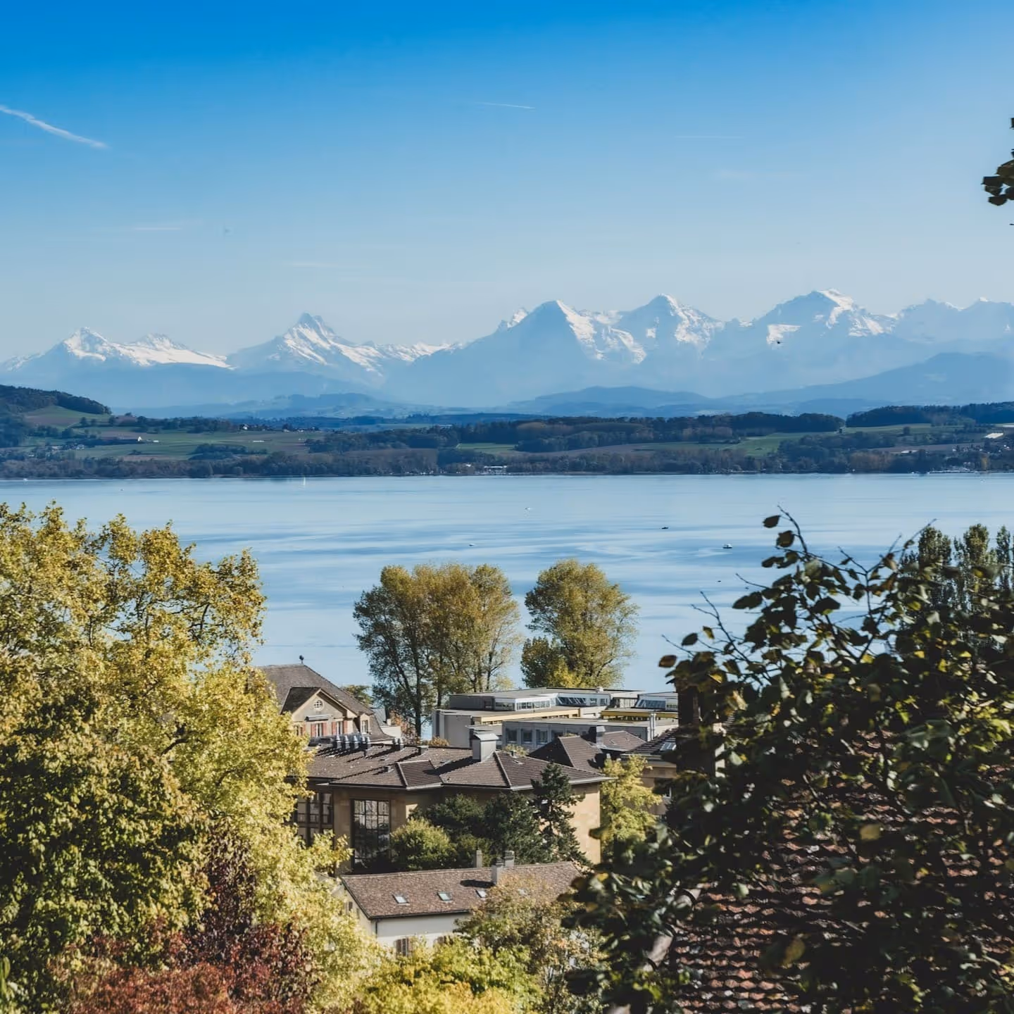 Création de site internet à Neuchâtel