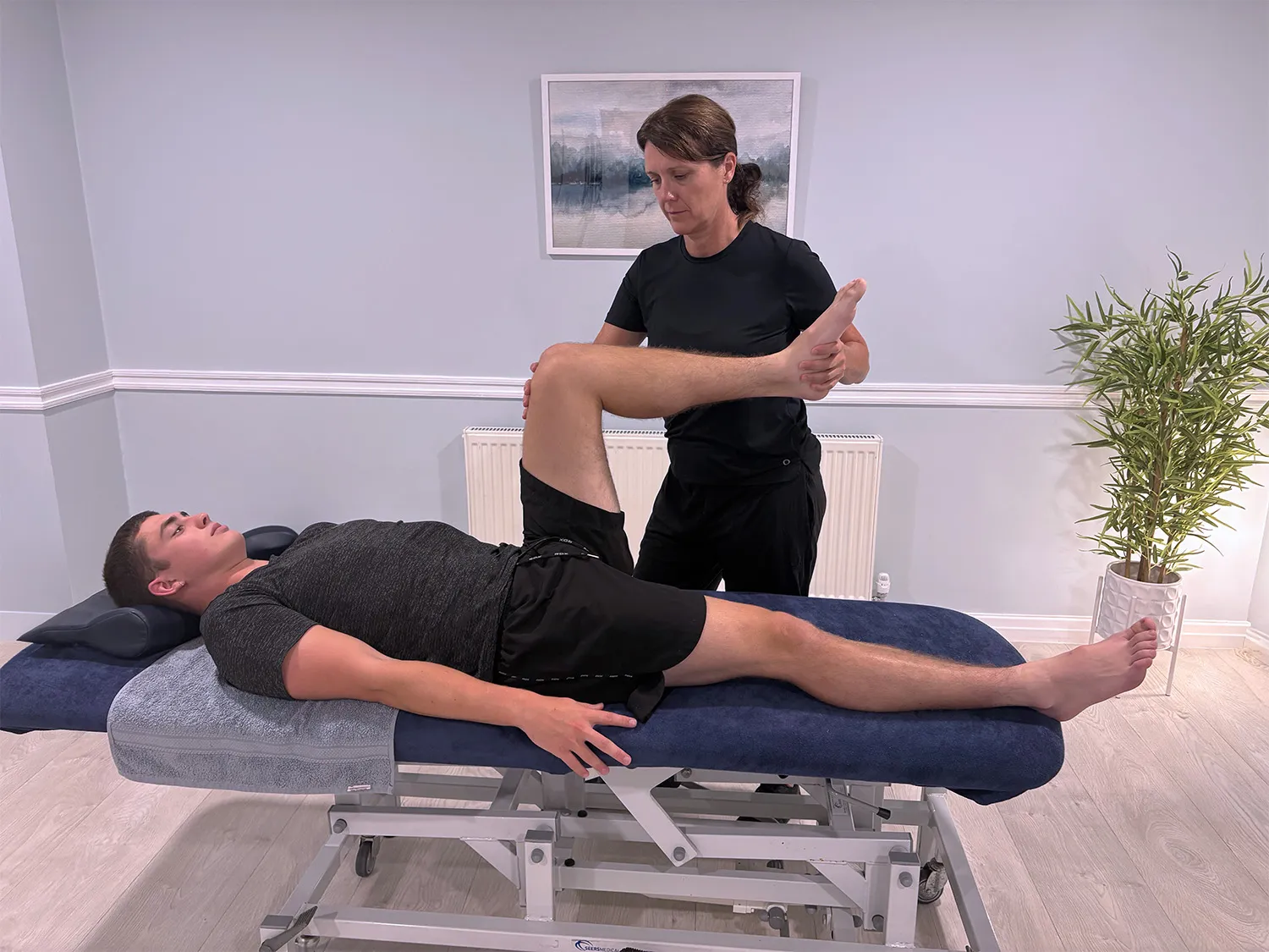 Therapist performing a leg stretch on a man lying on a treatment table in a clinical room with light walls, a framed picture, and a leafy plant in a white pot.
