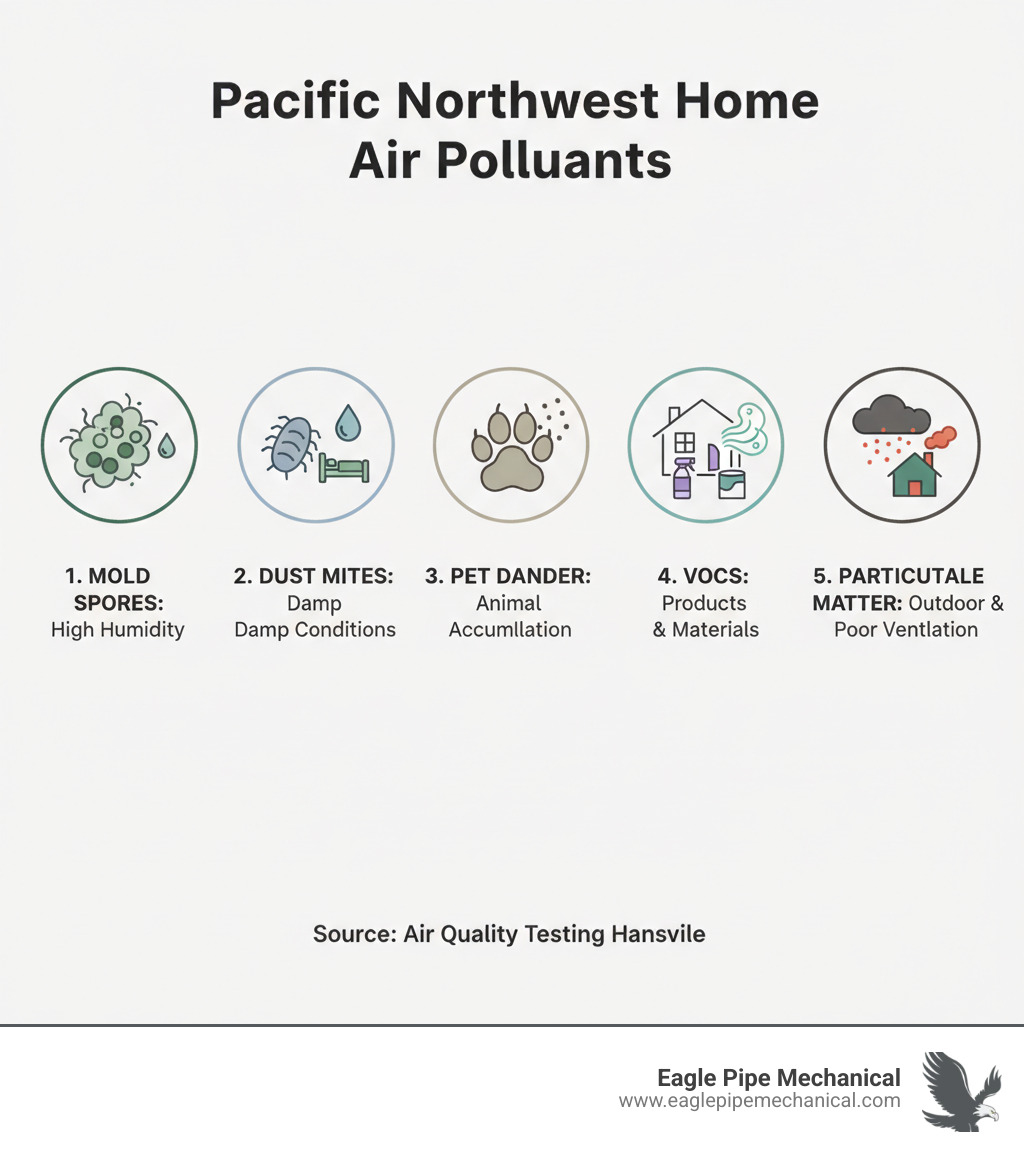 Comprehensive infographic showing the 5 most common indoor air pollutants found in Pacific Northwest homes: mold spores from high humidity, dust mites thriving in damp conditions, pet dander accumulation, VOCs from household products and building materials, and particulate matter from outdoor sources and poor ventilation - air quality testing hansville infographic