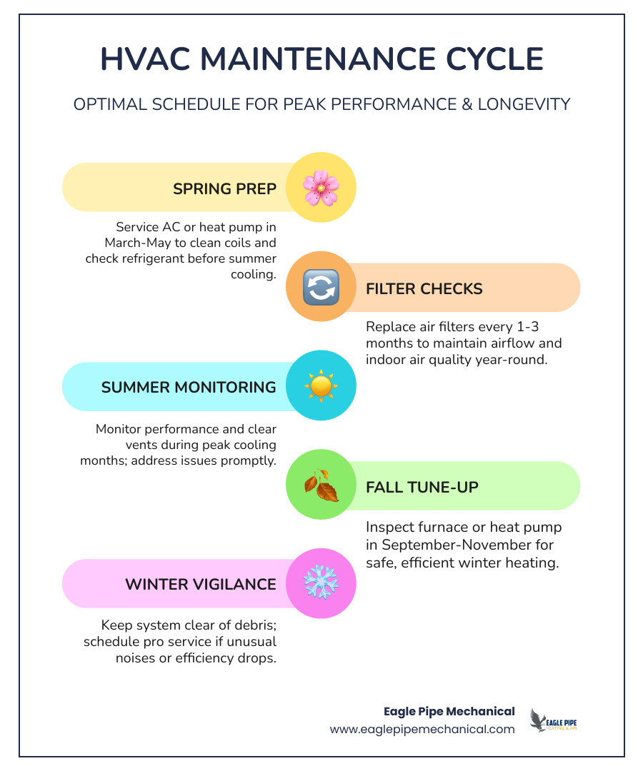 HVAC maintenance cycle infographic showing annual and bi-annual service schedule for AC, furnace, heat pumps, and filters