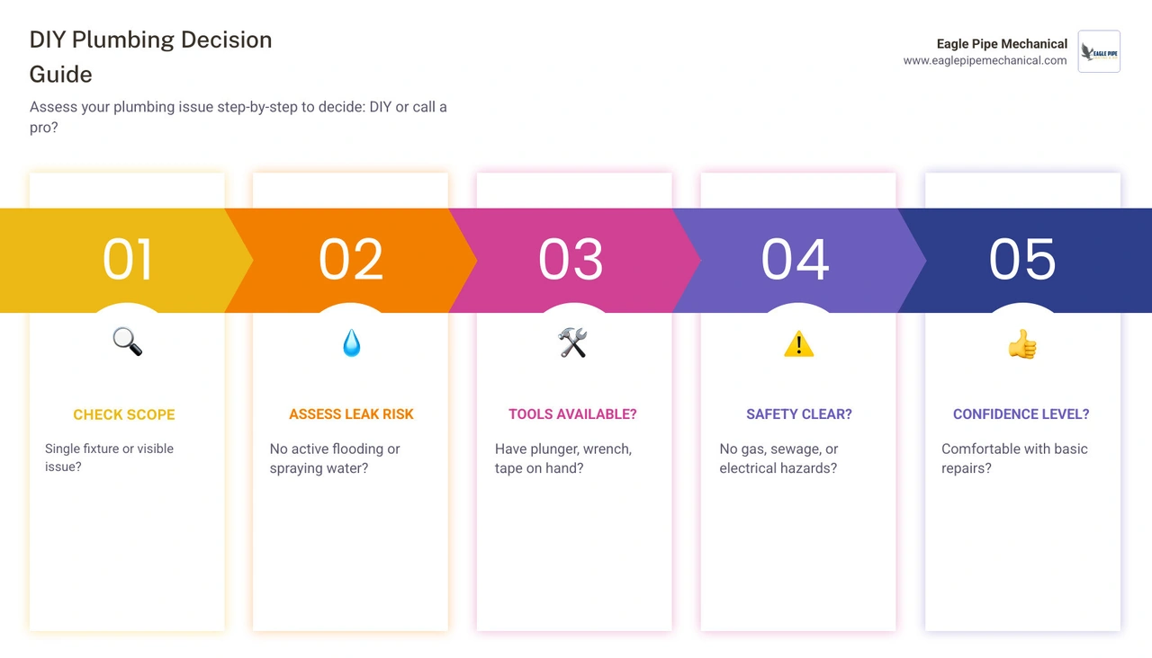 Decision tree infographic: DIY vs professional plumbing repairs by problem type and severity infographic