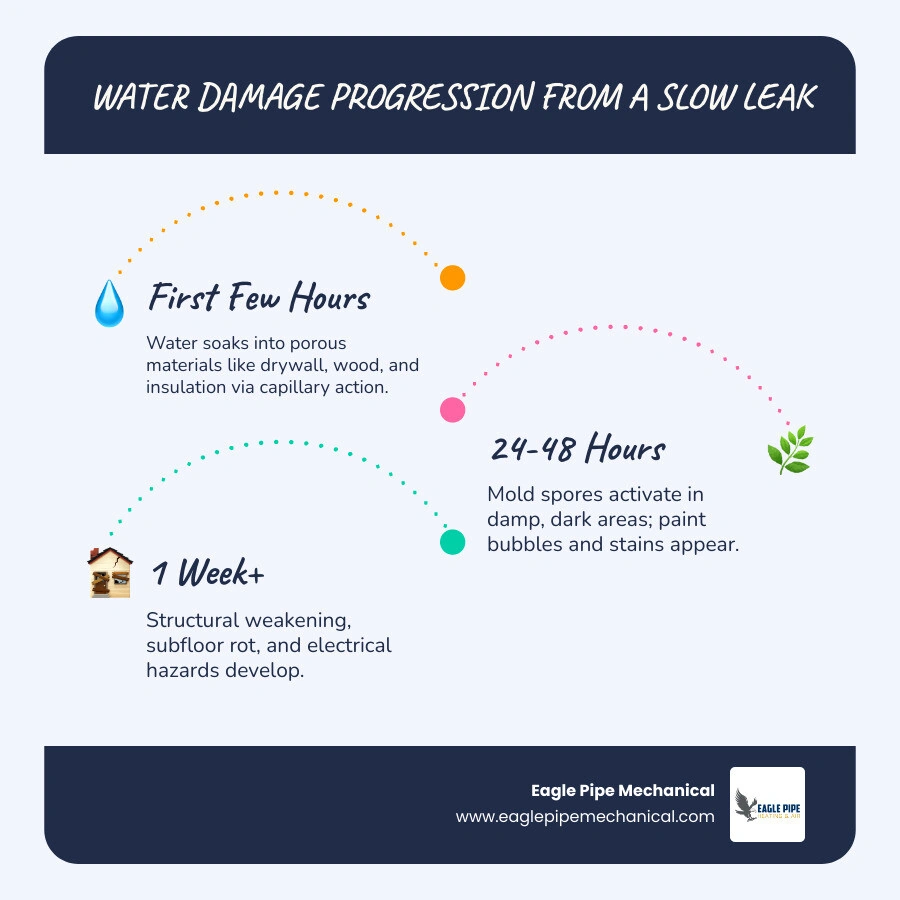 infographic showing water damage progression timeline from hours to months with damage types infographic infographic showing water damage progression timeline from hours to months with damage types infographic