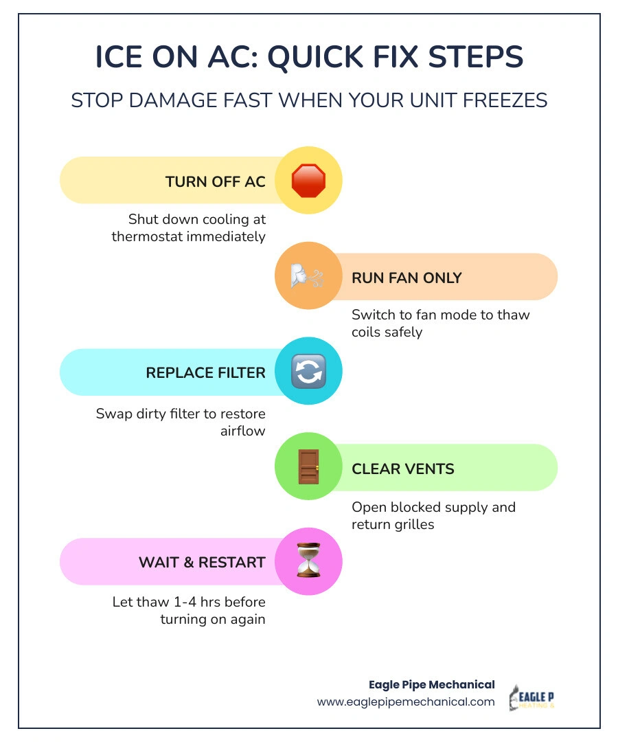 Infographic showing AC freezing cycle causes dirty filter low refrigerant blocked vents immediate steps infographic Infographic showing AC freezing cycle causes dirty filter low refrigerant blocked vents immediate steps infographic