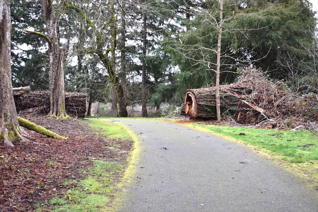 A Practical Guide to Pacific Northwest Storms and Home Systems