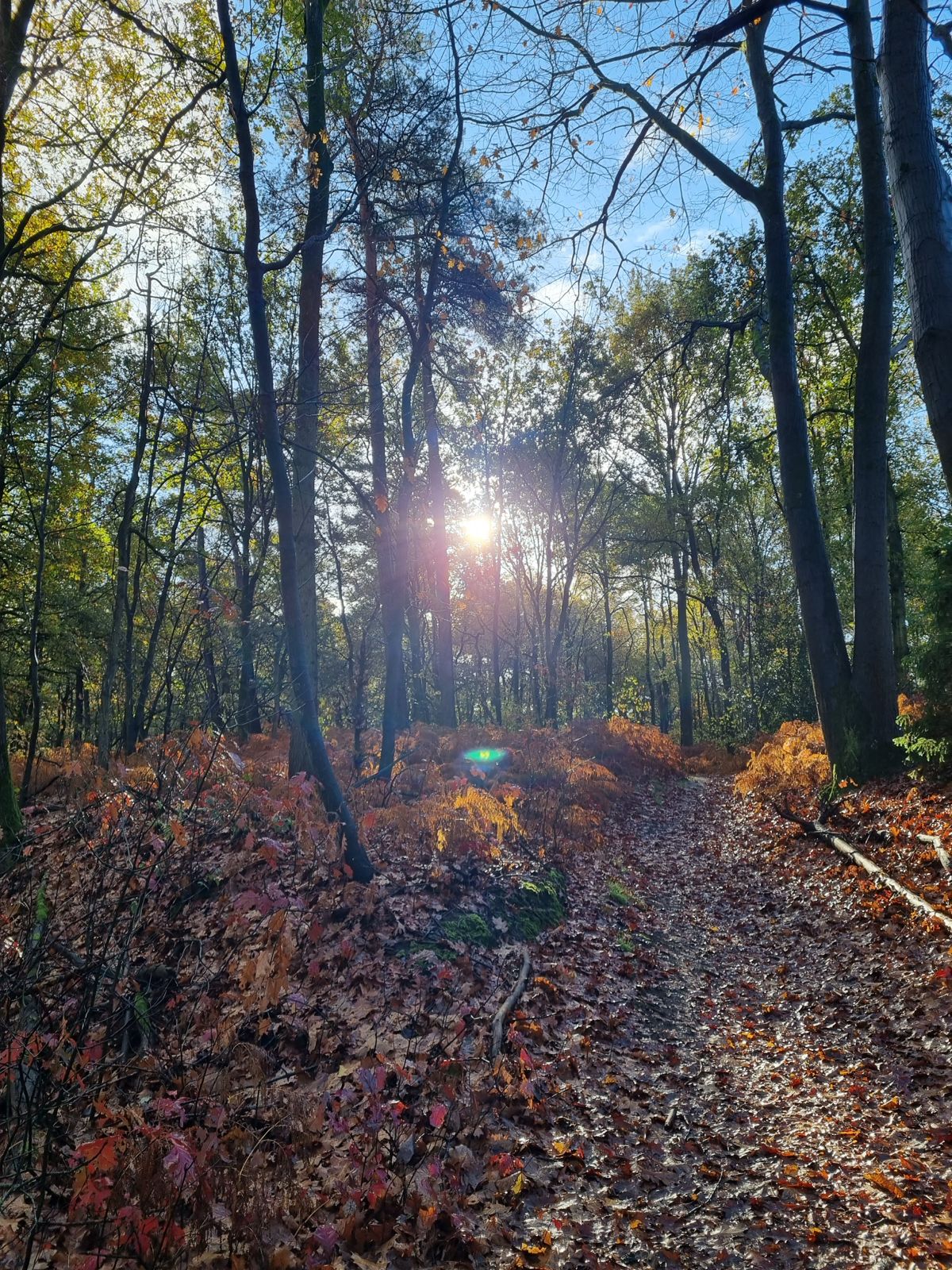 Hoi, ik ben Emmely. En zoals een van mijn cliënten zei: "Take it or leave it."